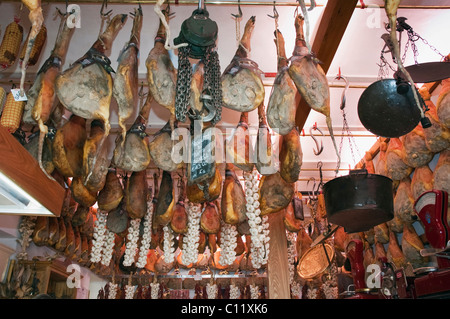 Prosciutto che pendevano dal soffitto nel negozio di gastronomia, Norcineria Falorni, Greve, Chianti, Toscana, Italia, Europa Foto Stock