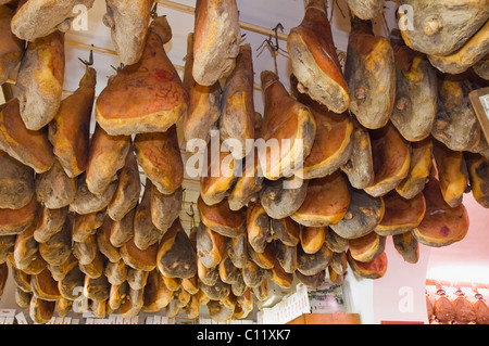 Prosciutto che pendevano dal soffitto nel negozio di gastronomia, Norcineria Falorni, Greve, Chianti, Toscana, Italia, Europa Foto Stock