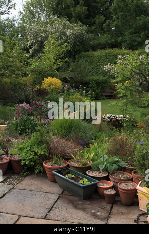 Selezione di terracotta vasi per piante e piantatrici su un patio in un giardino interno Dronfield DERBYSHIRE REGNO UNITO Foto Stock