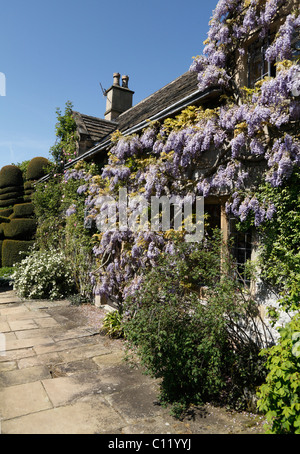 Con il tetto di paglia del giardiniere Cottage con Wisteria sinensis medievale e Tudor House Haddon Hall Bakewell Derbyshire Foto Stock