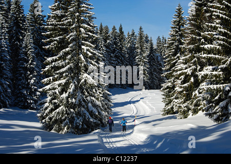 Gli amanti dello sci di fondo in un paesaggio invernale con una coperta di neve bosco di abete rosso nel Giura, St. Cergue, Svizzera Foto Stock
