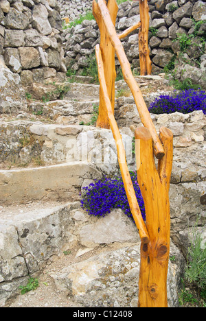 Treppe mit Lobelie - scalinata e lobelia 01 Foto Stock