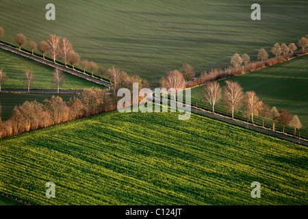 Vista aerea, intersezione parkway, Olfen, Muensterland regione Renania settentrionale-Vestfalia, Germania, Europa Foto Stock