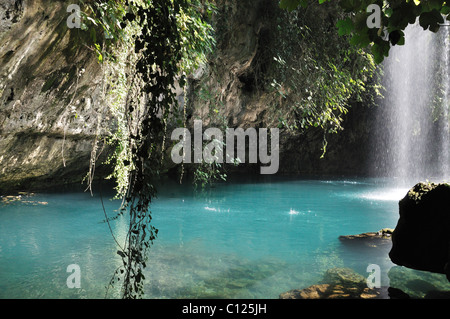 Vista della cascata selvatici dalla gabbia Foto Stock