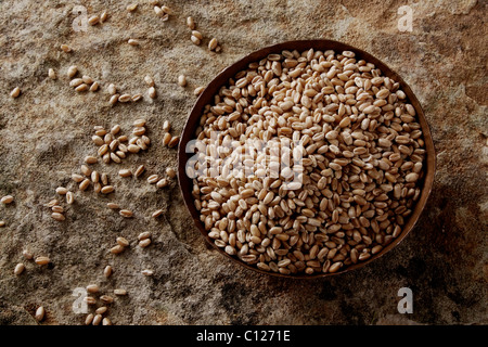Chicchi di grano (Triticum) in un recipiente di rame su di una superficie di pietra Foto Stock