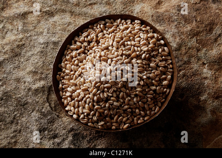 Chicchi di grano (Triticum) in un recipiente di rame su di una superficie di pietra Foto Stock