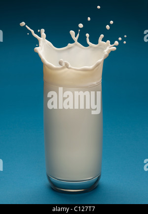 Schizzi di latte dal vetro su uno sfondo blu Foto Stock