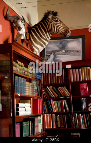 Bookstore 'Quagga' in Kalk Bay, Western Cape, Sud Africa e Africa Foto Stock