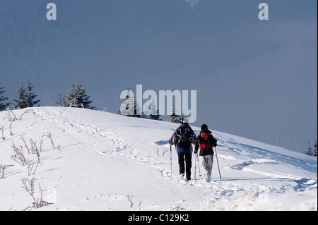 Gli escursionisti, Alpi Bavaresi, Mt. Setzberg, Alta Baviera, Baviera, Germania, Europa Foto Stock