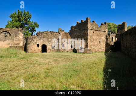 Rovine di bagno turco, Royal Enclosure Fasil Ghebbi, Sito Patrimonio Mondiale dell'UNESCO, Gonder, Gondar, Amhara, Etiopia, Africa Foto Stock