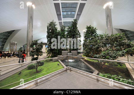 Aeroporto internazionale, l'Emirato di Dubai, Emirati Arabi Uniti, in Arabia, in Medio Oriente Foto Stock