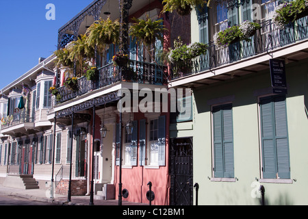 Il creolo townhouses con ornati in ferro battuto balcone, appendere le piantatrici e sulle scatole di finestra nel Quartiere Francese di New Orleans Foto Stock