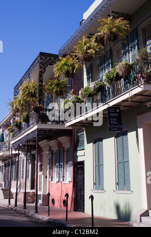 Il creolo townhouses con ornati in ferro battuto balcone, appendere le piantatrici e sulle scatole di finestra nel Quartiere Francese di New Orleans Foto Stock