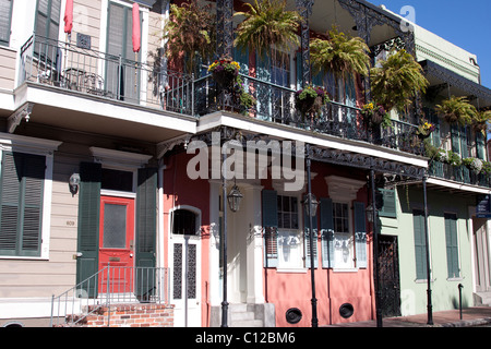 Il creolo townhouses con ornati in ferro battuto balcone, appendere le piantatrici e sulle scatole di finestra nel Quartiere Francese di New Orleans Foto Stock