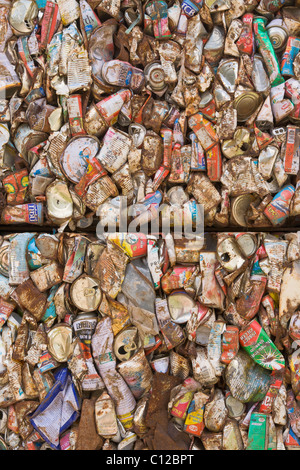 Alluminio riciclato lattine appiattito e schiacciato Foto Stock