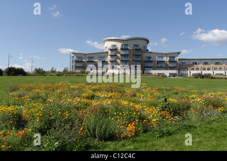 Appartamenti in lacuna nella baia di Cardiff, Galles, Windsor Esplanade, esposizione urbana di fiori selvatici appartamenti moderni fiori selvatici zone umide di Cardiff Foto Stock