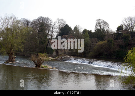 Il ferro di cavallo Weir sul fiume teme a Ludlow, Shropshire, Inghilterra, Regno Unito Foto Stock
