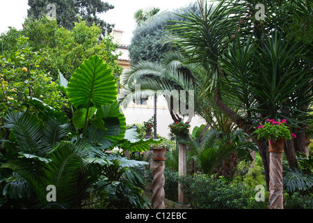 I lussureggianti giardini del decimo secolo la Banys Arabs o bagni arabi in Palma di Mallorca, Spagna Foto Stock
