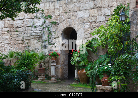 I lussureggianti giardini del decimo secolo la Banys Arabs o bagni arabi in Palma di Mallorca, Spagna Foto Stock