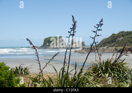 Tauranga Bay a Cape Foulwind, Nuova Zelanda Foto Stock