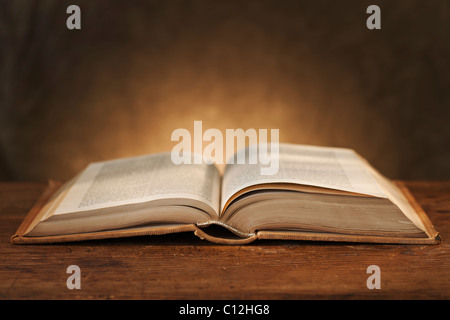 Close-up del libro aperto Foto Stock