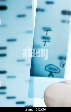 Il sequenziamento del DNA. Scienziato di trattenimento di un immagine a raggi X di un gel con DNA basi nucleotidiche (A,C,T,G) sequenziato. Metodo Sanger. Foto Stock