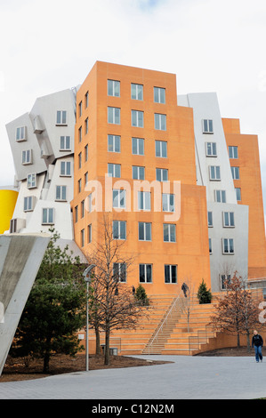 Giovane donna cammina dal famoso architetto Frank Gehry progettato Ray e Maria stata Center del MIT, Massachusetts Institute of Technology, Cambridge MA Foto Stock