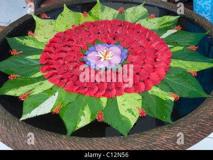 Delicata disposizione di petali e foglie che galleggiano in un bacino d'acqua all'esterno di un negozio a Ubud, Bali, Indonesia Foto Stock