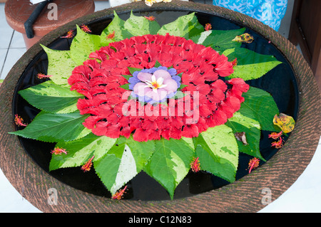 Delicata disposizione di petali e foglie che galleggiano in un bacino d'acqua all'esterno di un negozio a Ubud, Bali, Indonesia Foto Stock
