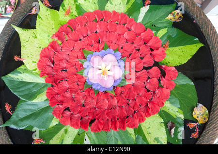 Delicata disposizione di petali e foglie che galleggiano in un bacino d'acqua all'esterno di un negozio a Ubud, Bali, Indonesia Foto Stock