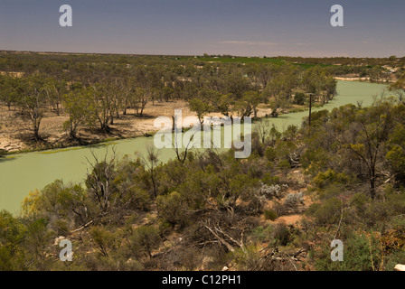 Il fiume Murray - durante l estate secca - vicino Morgan, Sud Australia Foto Stock