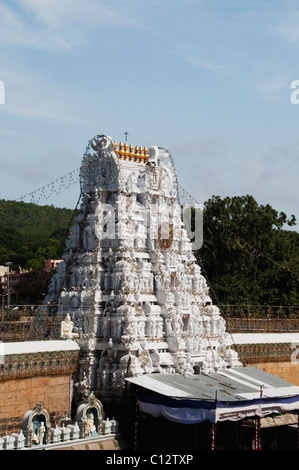 Elevato angolo di visione di un tempio, Tirumala Venkateswara Temple, Tirumala, Tirupati, Chittoor, Andhra Pradesh, India Foto Stock