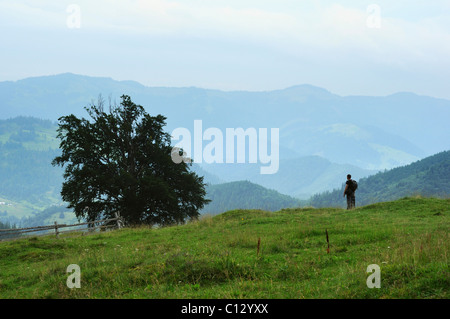 Vista posteriore dell'uomo escursioni attraverso dzembronya area in Ucraina Foto Stock