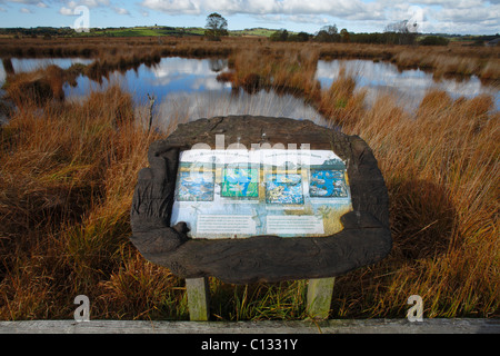 Pannello di interpretazione accanto a una passerella su sollevato bog habitat. Cors Caron, Ceredigion, Galles. Ottobre. Foto Stock