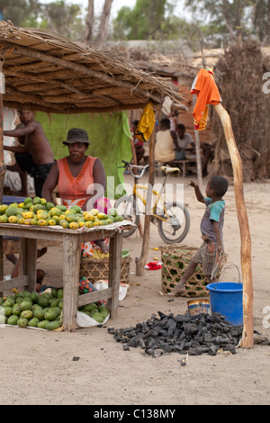 Donna che vende frutta e carbone. Carburante da cucina in vendita. Stallo mercato stradale. Ifaty mercato. Madagascar meridionale. Foto Stock