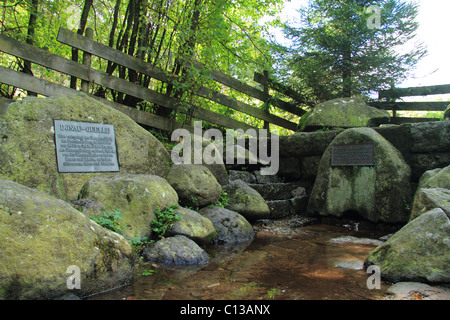 Inizio del fiume Danubio presso la sorgente del fiume Breg vicino Furtwangen, Foresta Nera in Germania Foto Stock