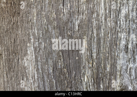 Rustico in legno stagionato tessitura o immagine di sfondo. Foto Stock