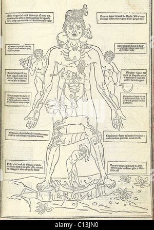 Zodiac da uomo che illustra come il corpo umano si riferisce ai segni zodiacali. L'antica teoria medica ha ritenuto che i quattro umori erano influenzati dalla posizione delle stelle, collegando health care di astrologia. Da Johannes de Ketham's FASCICULUS MEDICINAE (Venezia, 1495). Foto Stock