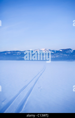 Stati Uniti d'America, Montana, coregone, piste per lo sci di fondo nella neve Foto Stock