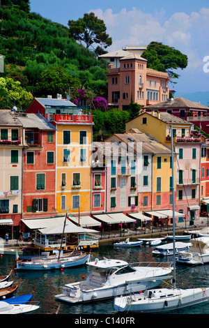 Barche ormeggiate nel piccolo porto di Portofino Liguria Italia Foto Stock