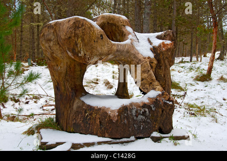 Scultura di Dunnett Foresta, Vicino Castletown, Caithness in Scozia, Regno Unito. Albero scolpito trunk. Foto Stock