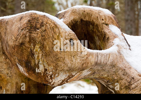 Scultura di Dunnett Foresta, Vicino Castletown, Caithness in Scozia, Regno Unito. Albero scolpito trunk. Foto Stock