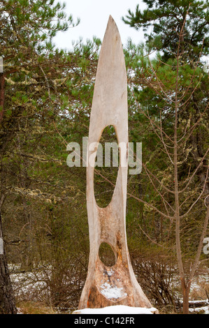 Scultura di Dunnett Foresta, Vicino Castletown, Caithness in Scozia, Regno Unito. Albero scolpito trunk. Foto Stock