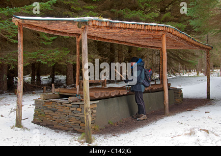 Xilofono gigante. Una scultura di Dunnett Foresta, Vicino Castletown, Caithness in Scozia, Regno Unito Foto Stock