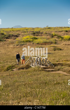 Bluff Trail lungo l'Oceano Pacifico di Cambria, California. Parte del ranch Fiscalini preservare Trail, ex Est/Ovest Ranch. Foto Stock