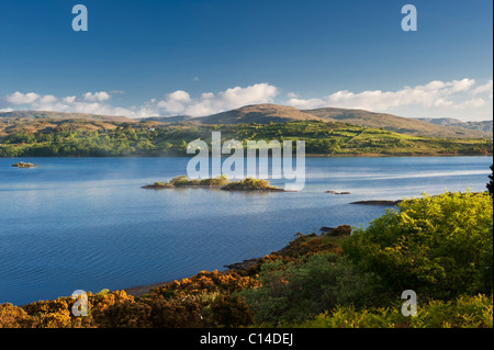 Il nord-riva occidentale del Lough Corrib, vicino Doon rocce,Connemara, Co Galway, Irlanda Foto Stock