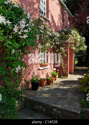 La CLEMATIDE MONTANA RUBENS oltre il paese porta COTTAGE ESTATE REGNO UNITO Foto Stock