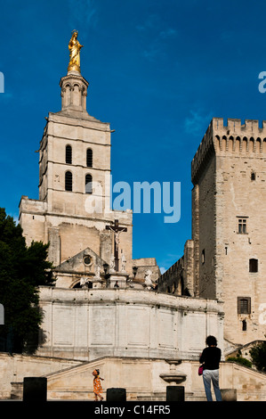 Il palazzo papale ad Avignone, a sud-est della Francia. Foto Stock