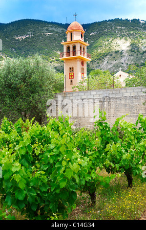 Raro Robola Vigneti di Cefallonia, Isole Ionie, Grecia. Foto Stock