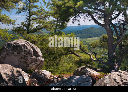 CHESTERWOOD STOCKBRIDGE MASSACHUSETTS USA Foto Stock